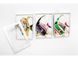 Магніт &laquo;Рибка&raquo;, 12 шт. в упаковці IGR-345695 фото 1