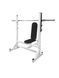 Жим сидячи RN-SPORT imperium RNS-29561 фото 1